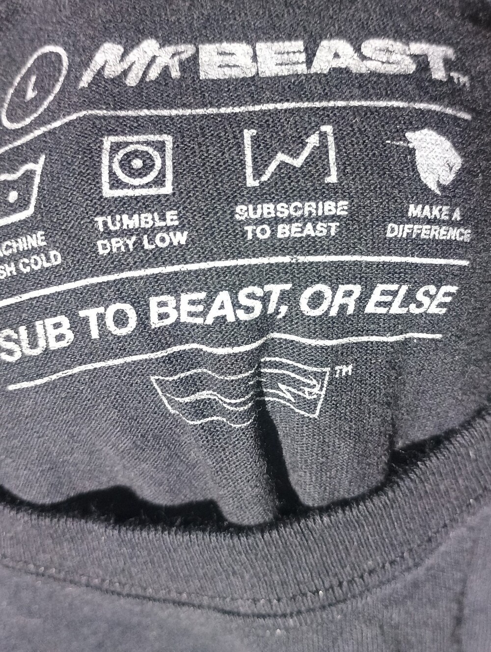 Mr Beast - Picture 3 of 3
